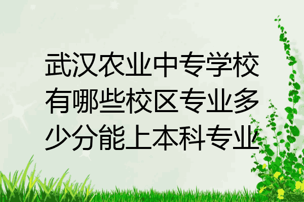 武汉农业中专学校有哪些校区专业多少分能上本科专业
