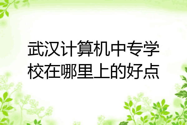 武汉计算机中专学校在哪里上的好点