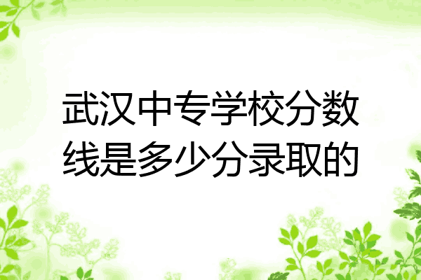 武汉中专学校分数线是多少分录取的