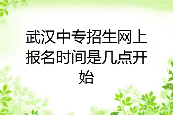 武汉中专招生网上报名时间是几点开始