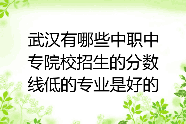 武汉有哪些中职中专院校招生的分数线低的专业是好的
