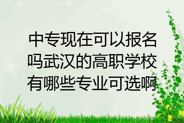 中专现在可以报名吗武汉的高职学校有哪些专业可选啊