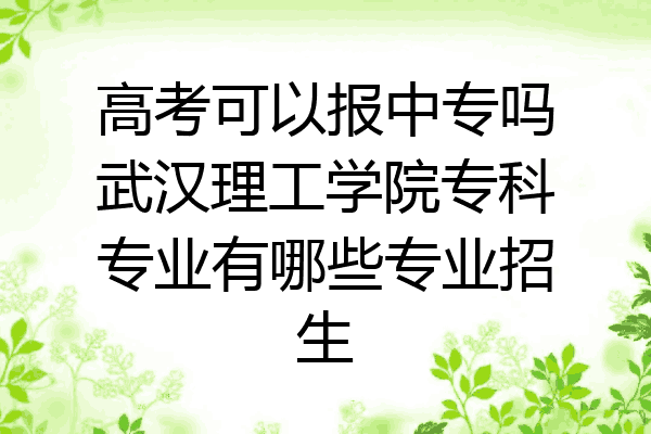 高考可以报中专吗武汉理工学院专科专业有哪些专业招生