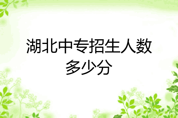 湖北中专招生人数多少分