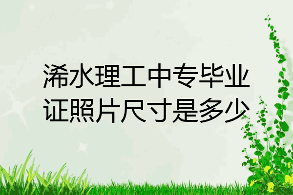 浠水理工中专毕业证照片尺寸是多少