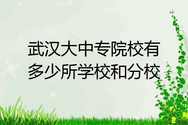 武汉大中专院校有多少所学校和分校