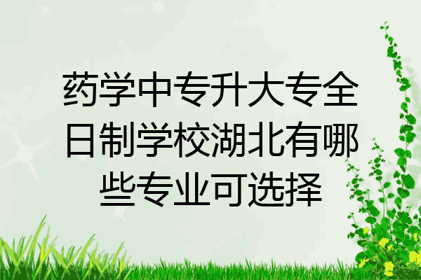 药学中专升大专全日制学校湖北有哪些专业可选择