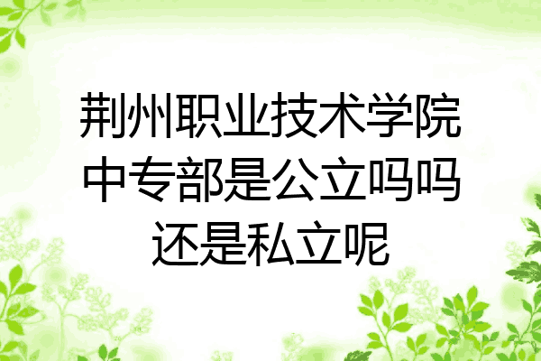 荆州职业技术学院中专部是公立吗吗还是私立呢