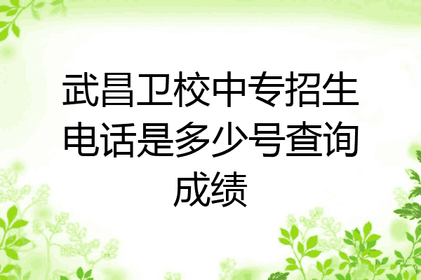 武昌卫校中专招生电话是多少号查询成绩