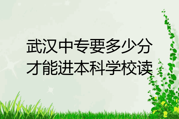 武汉中专要多少分才能进本科学校读