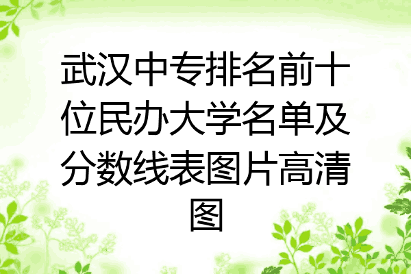 武汉中专排名前十位民办大学名单及分数线表图片高清图