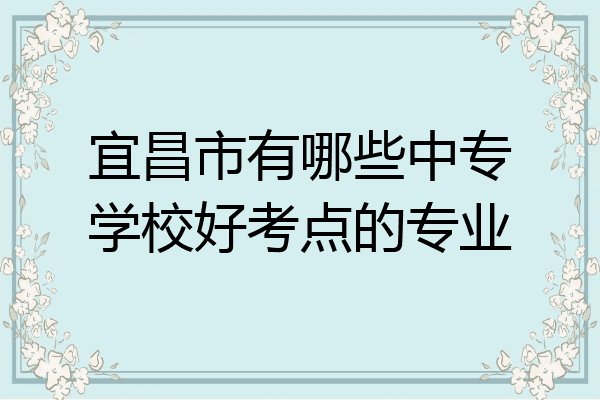 宜昌市有哪些中专学校好考点的专业