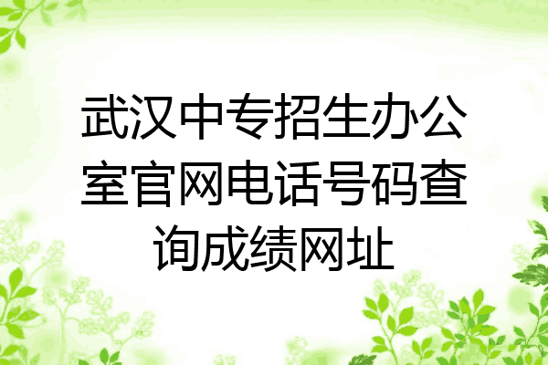 武汉中专招生办公室官网电话号码查询成绩网址