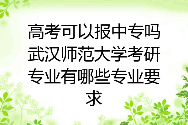 高考可以报中专吗武汉师范大学考研专业有哪些专业要求