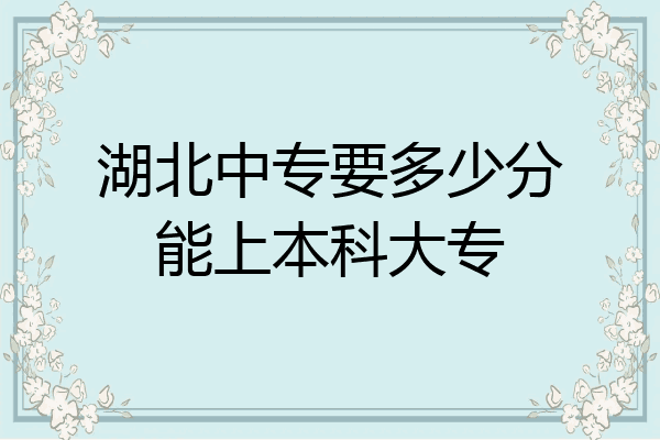 湖北中专要多少分能上本科大专