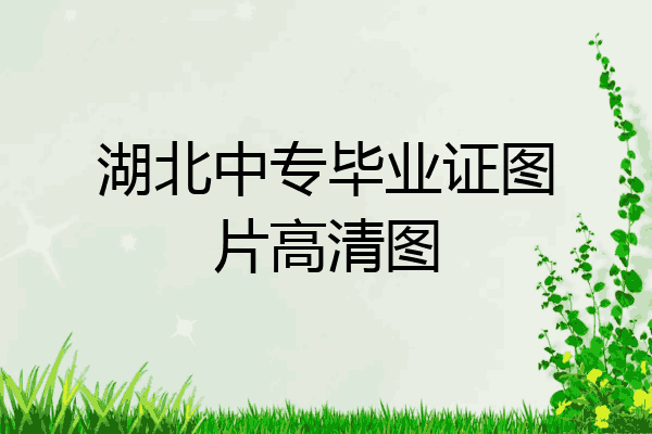 湖北中专毕业证图片高清图