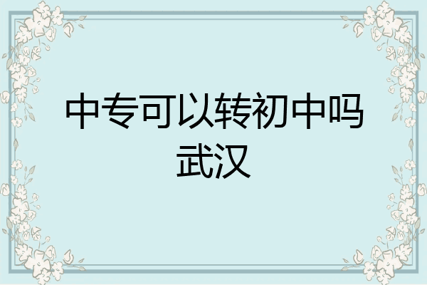 中专可以转初中吗武汉