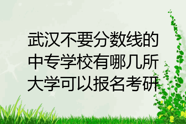 武汉不要分数线的中专学校有哪几所大学可以报名考研
