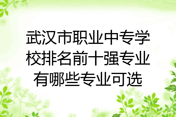 武汉市职业中专学校排名前十强专业有哪些专业可选