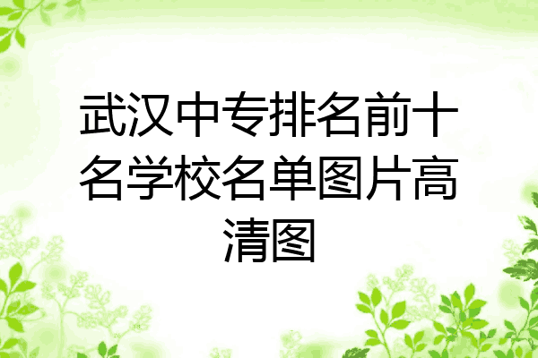 武汉中专排名前十名学校名单图片高清图