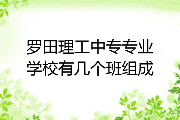 罗田理工中专专业学校有几个班组成