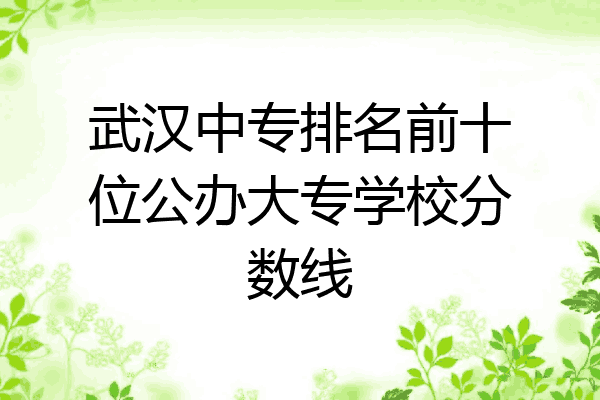 武汉中专排名前十位公办大专学校分数线
