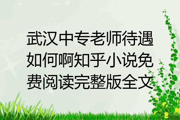 武汉中专老师待遇如何啊知乎小说免费阅读完整版全文
