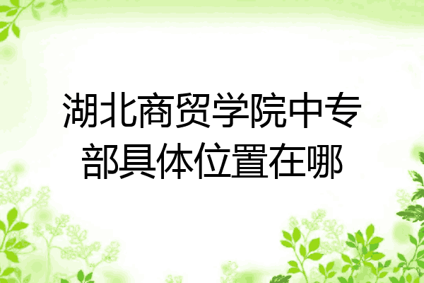 湖北商贸学院中专部具体位置在哪