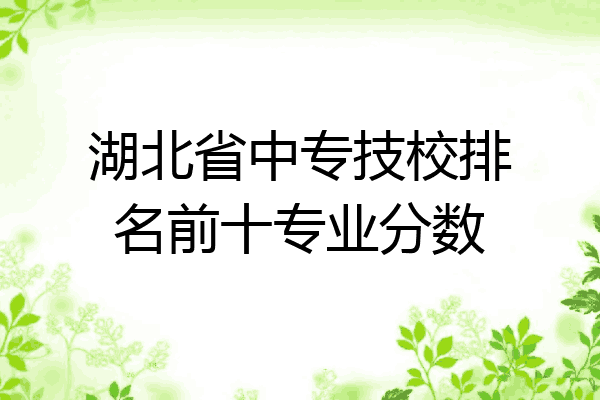 湖北省中专技校排名前十专业分数