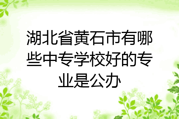 湖北省黄石市有哪些中专学校好的专业是公办