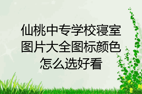 仙桃中专学校寝室图片大全图标颜色怎么选好看