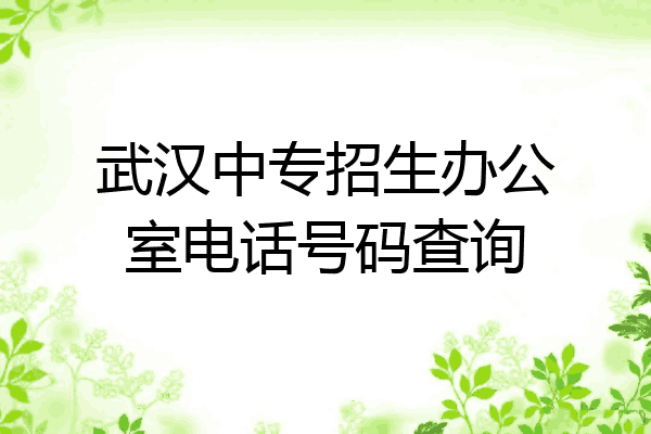 武汉中专招生办公室电话号码查询