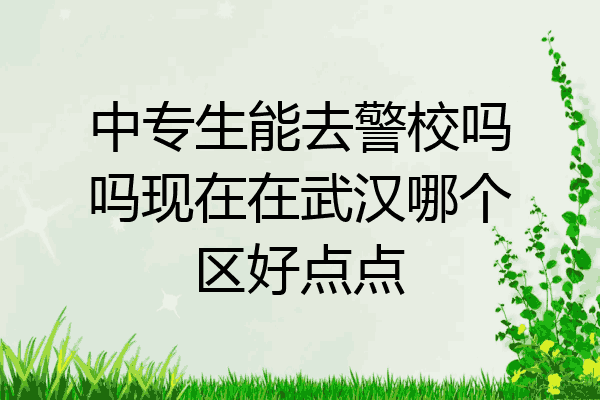 中专生能去警校吗吗现在在武汉哪个区好点点