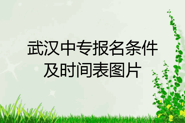 武汉中专报名条件及时间表图片