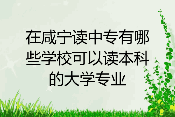 在咸宁读中专有哪些学校可以读本科的大学专业
