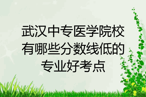 武汉中专医学院校有哪些分数线低的专业好考点