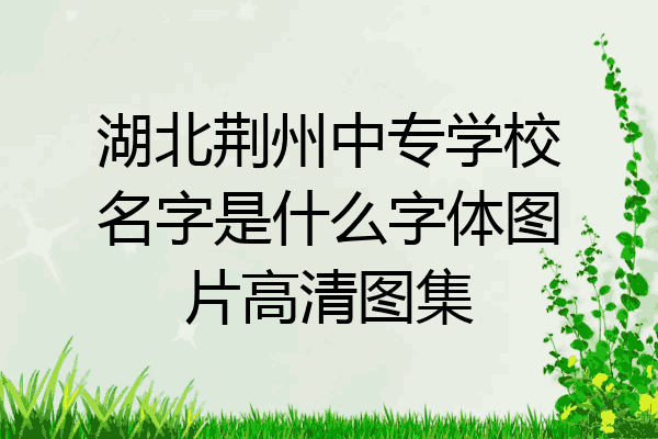 湖北荆州中专学校名字是什么字体图片高清图集