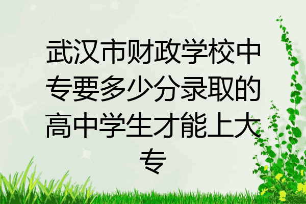 武汉市财政学校中专要多少分录取的高中学生才能上大专