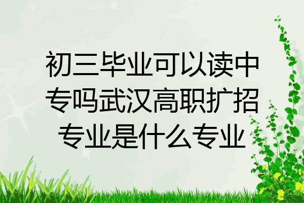 初三毕业可以读中专吗武汉高职扩招专业是什么专业