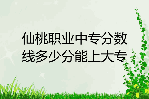 仙桃职业中专分数线多少分能上大专