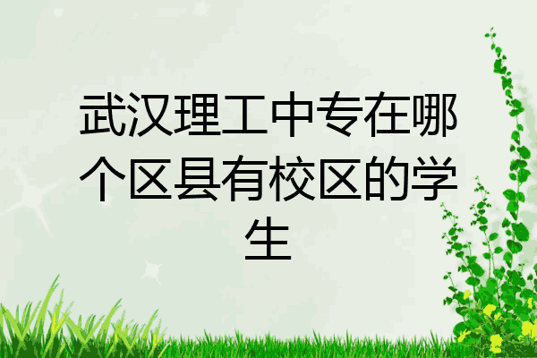 武汉理工中专在哪个区县有校区的学生