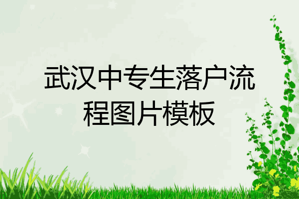 武汉中专生落户流程图片模板