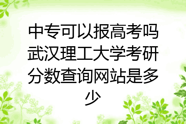 中专可以报高考吗武汉理工大学考研分数查询网站是多少