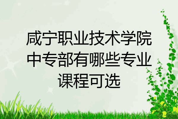 咸宁职业技术学院中专部有哪些专业课程可选