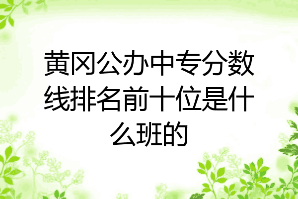黄冈公办中专分数线排名前十位是什么班的