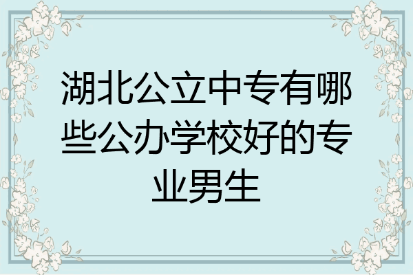 湖北公立中专有哪些公办学校好的专业男生