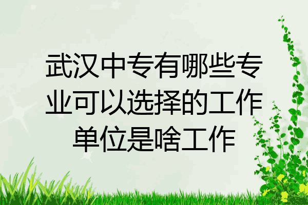 武汉中专有哪些专业可以选择的工作单位是啥工作