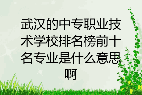 武汉的中专职业技术学校排名榜前十名专业是什么意思啊