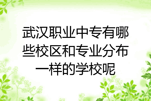 武汉职业中专有哪些校区和专业分布一样的学校呢