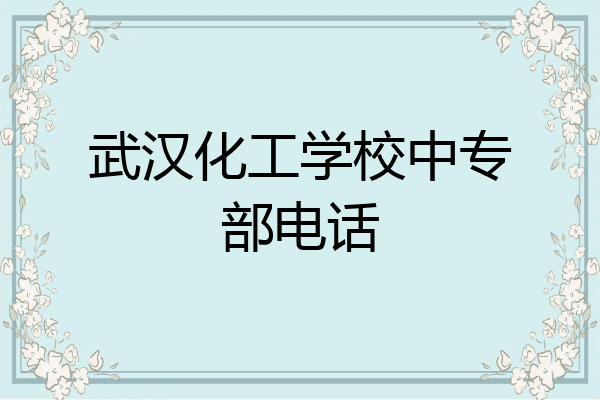 武汉化工学校中专部电话